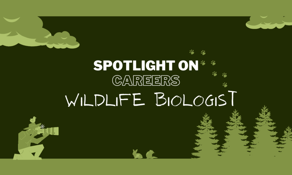 Spotlight on Careers: Wildlife Biologist