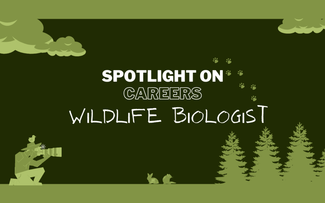 Spotlight on Careers: Wildlife Biologist