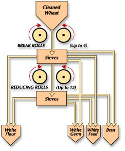 How Food Processing Works - Youth in Food Systems