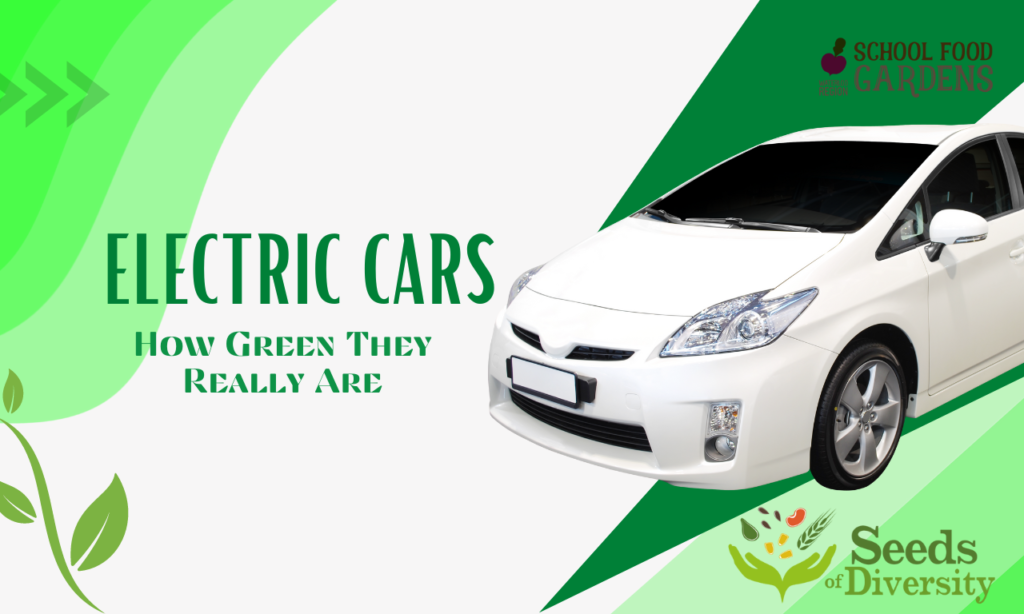 Electric Cars: How Green They Really Are