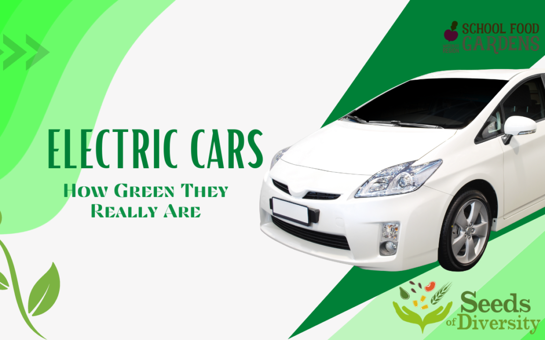 Electric Cars: How Green They Really Are