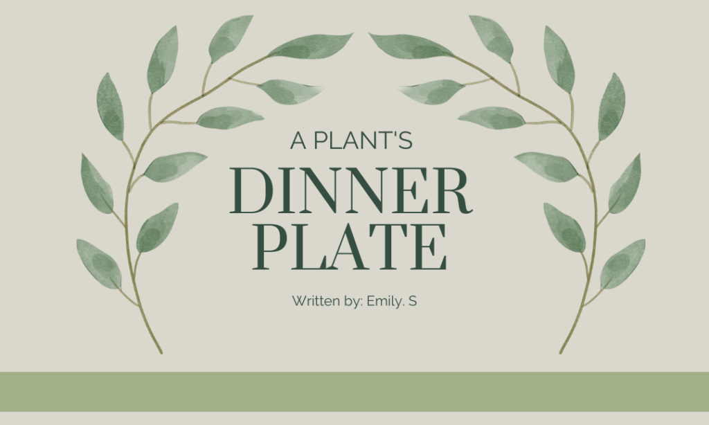 A Plant’s Dinner Plate