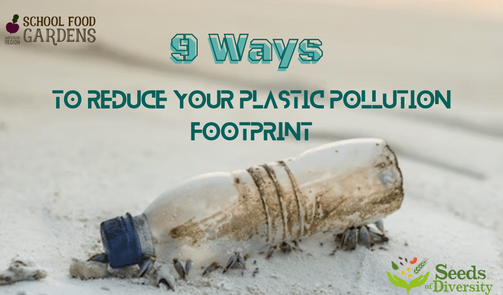 9 Ways to Reduce Your Plastic Pollution Footprint