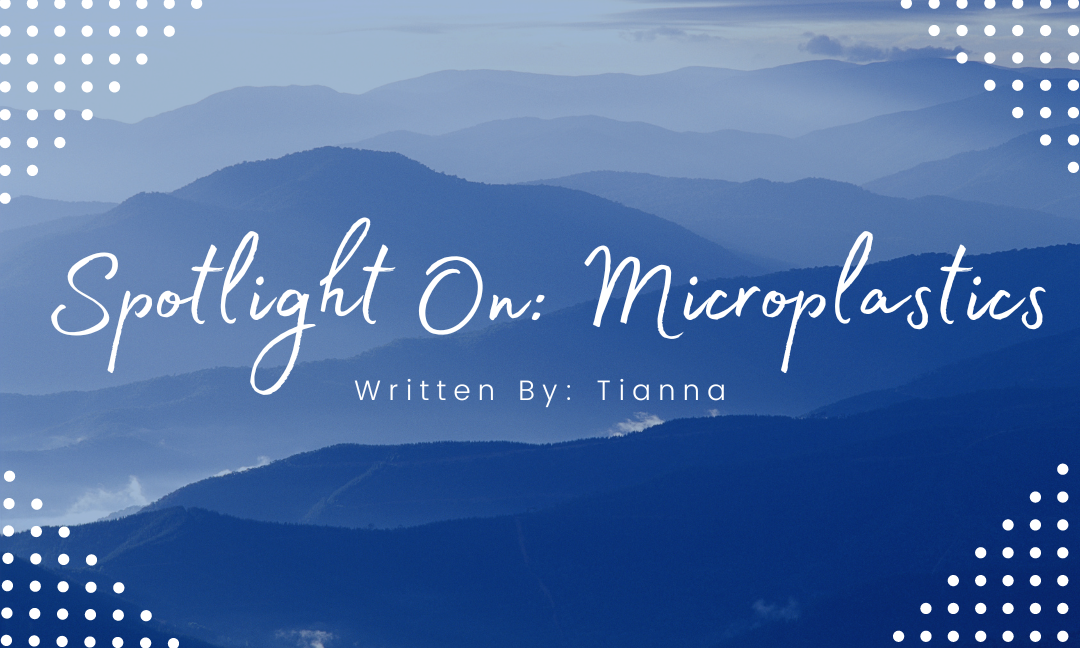 Spotlight On: Microplastics