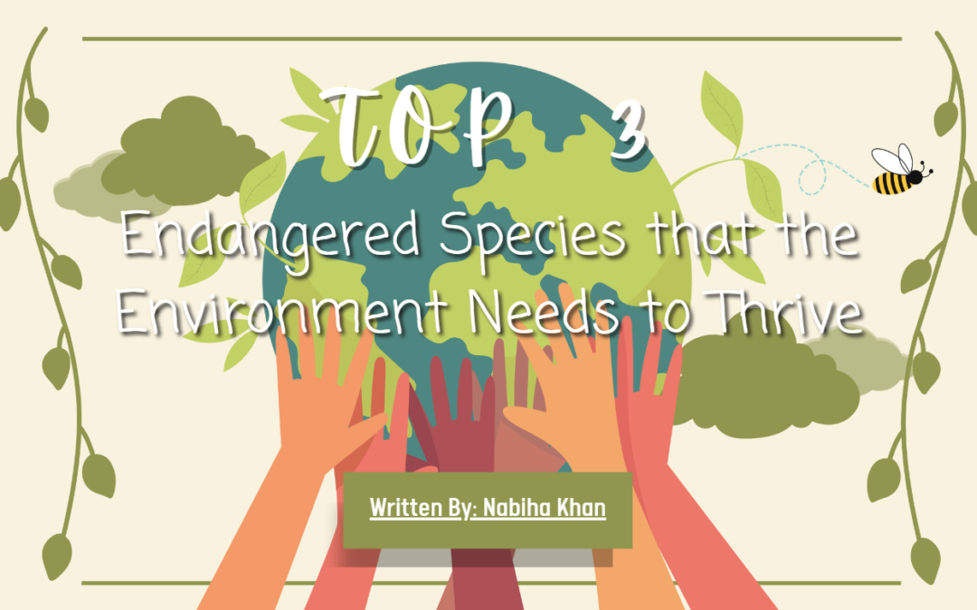 Top 3 Endangered Species That The Environment Needs To Thrive