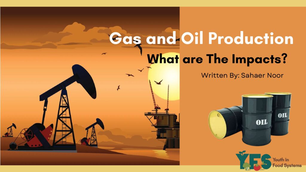 Impact of Oil Pipelines and Gas Production