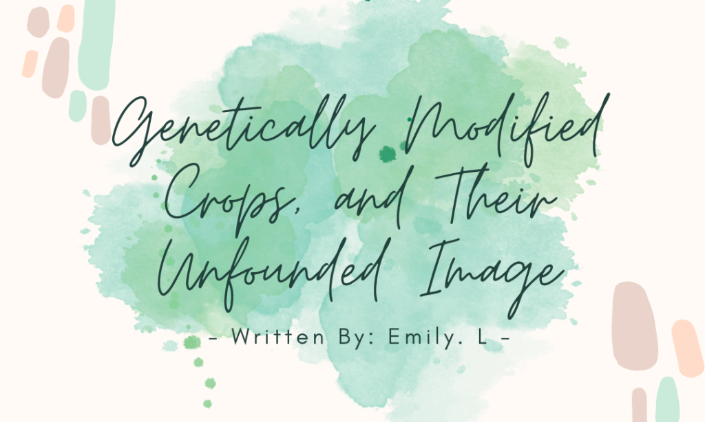Genetically Modified Crops, and their Unfounded Negative Image