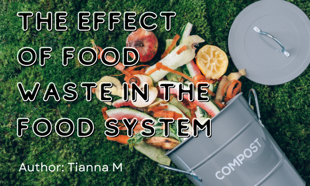 The Effect of Food Waste in the Food System 