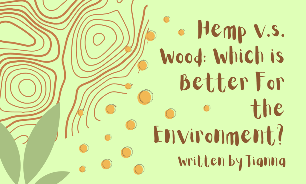 Hemp V.S Wood, Which is Better For the Environment?