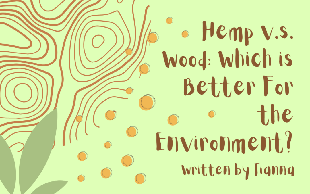 Hemp V.S Wood, Which is Better For the Environment?