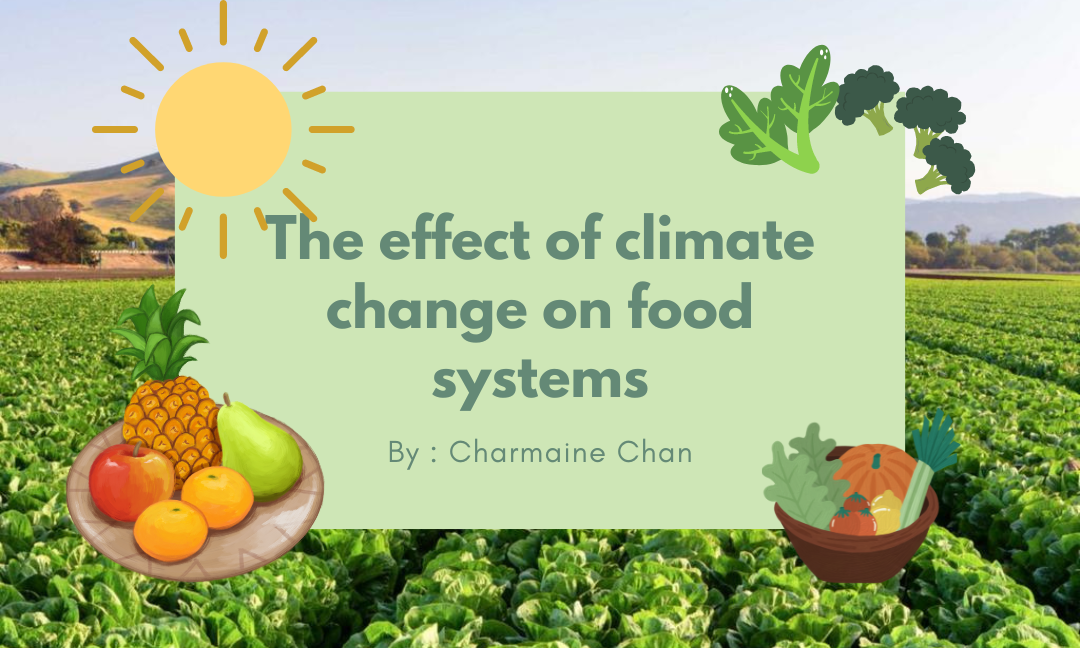 The Effect of Climate Change on Food Systems