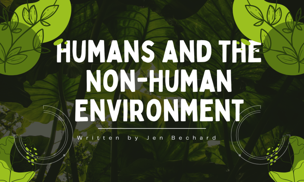 Humans and the Non-Human Environment: Exceptionalism vs Environmentalism