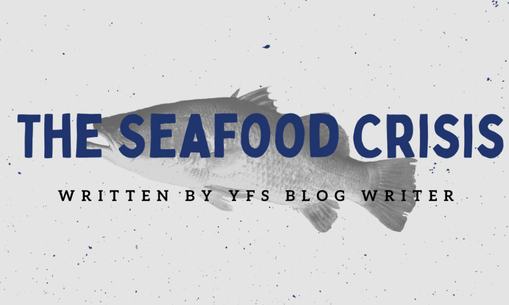 The Seafood Crisis
