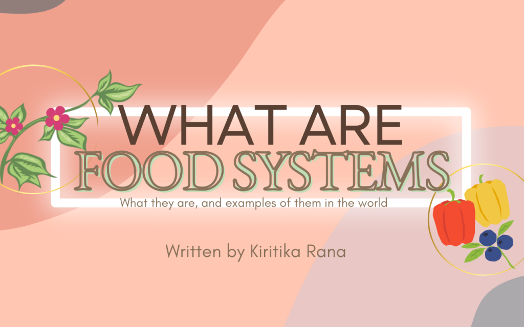 What are Food Systems? (What they are, and examples of them in the world)