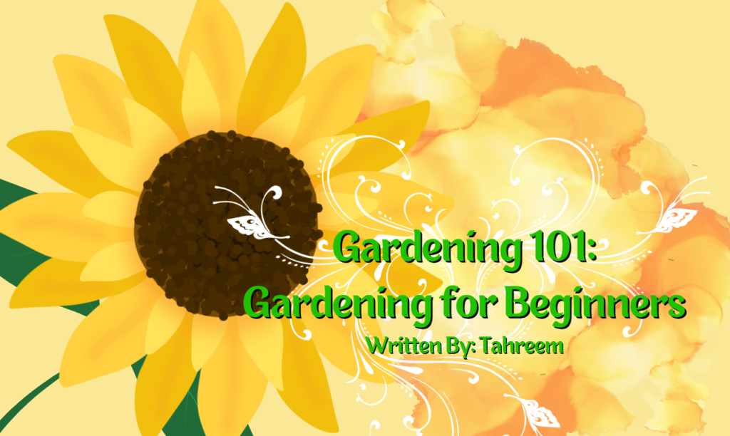 Gardening 101: Gardening for Beginners