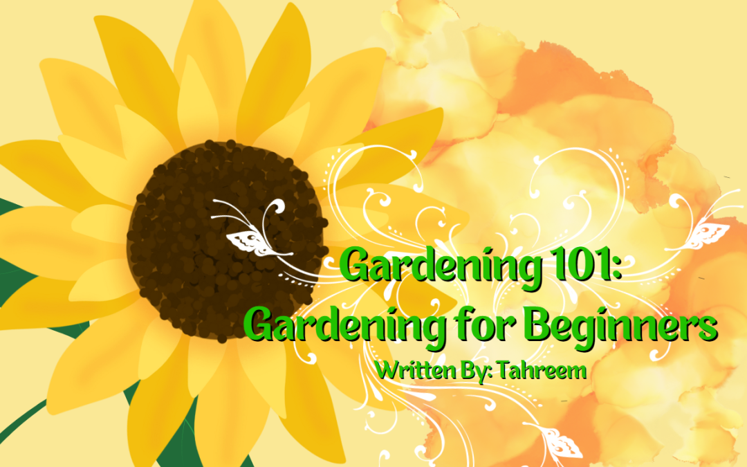 Gardening 101: Gardening for Beginners