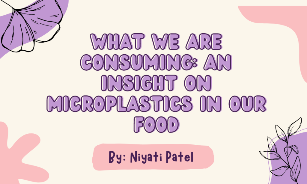 What We Are Consuming-an Insight to Microplastics in Our Foods