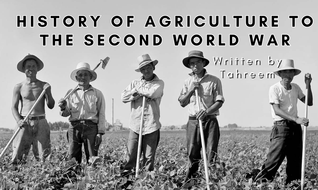 History of Agriculture to the Second World War