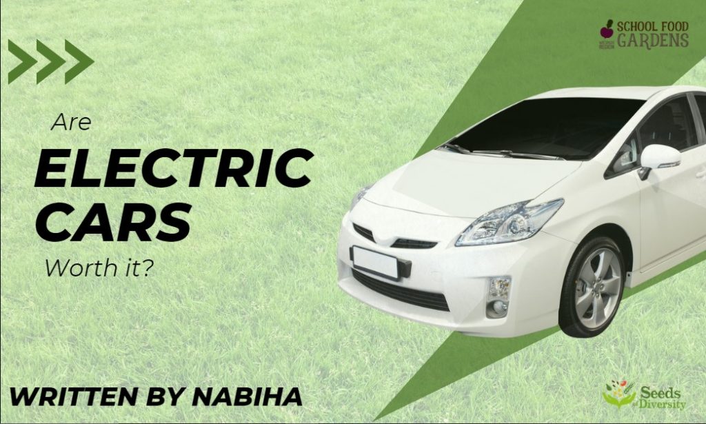 Are Electric Cars Worth It?