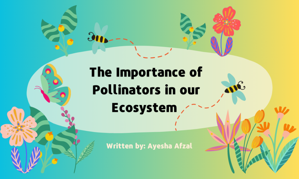 The Importance of Pollinators in our Ecosystem 