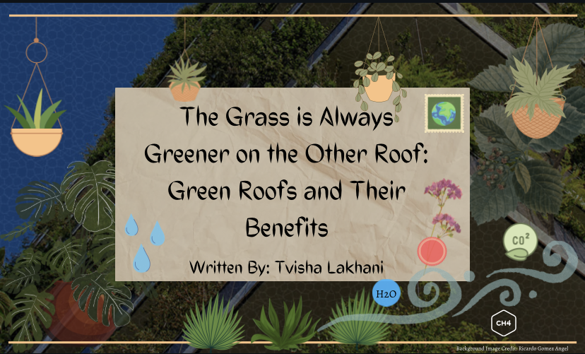The Grass is Always Greener on the Other Roof: Green Roofs and Their Benefits