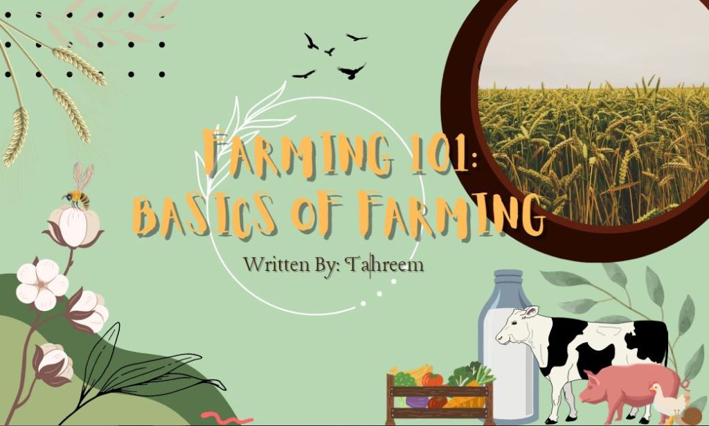 Farming 101: Basics Of Farming
