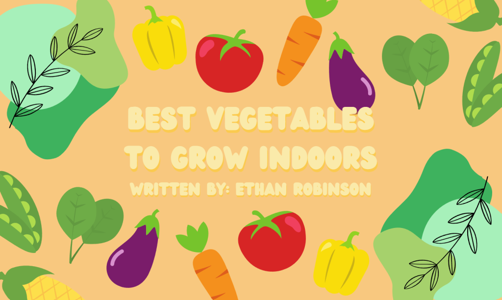 Best Vegetables to Grow Indoors