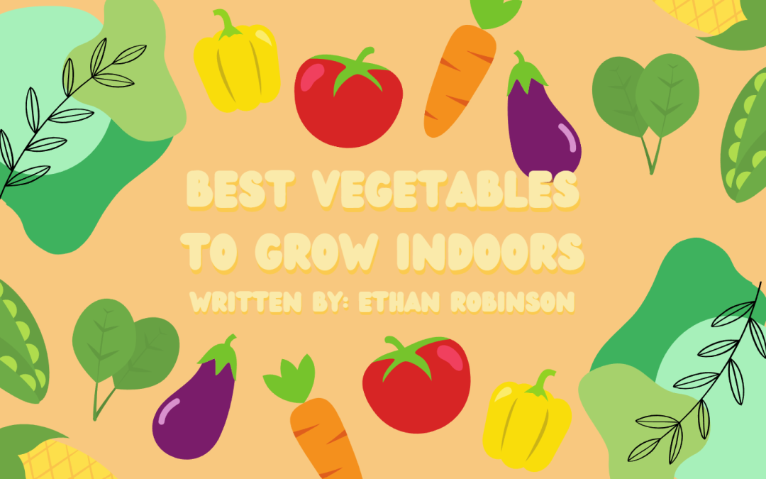 Best Vegetables to Grow Indoors