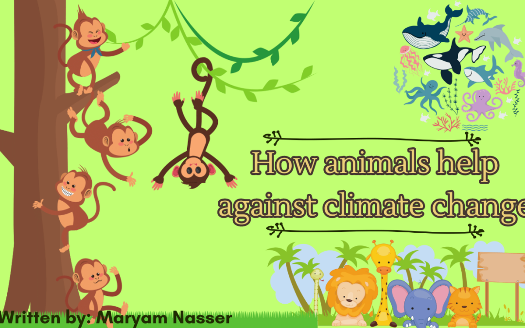 How Animals Help Against Climate Change
