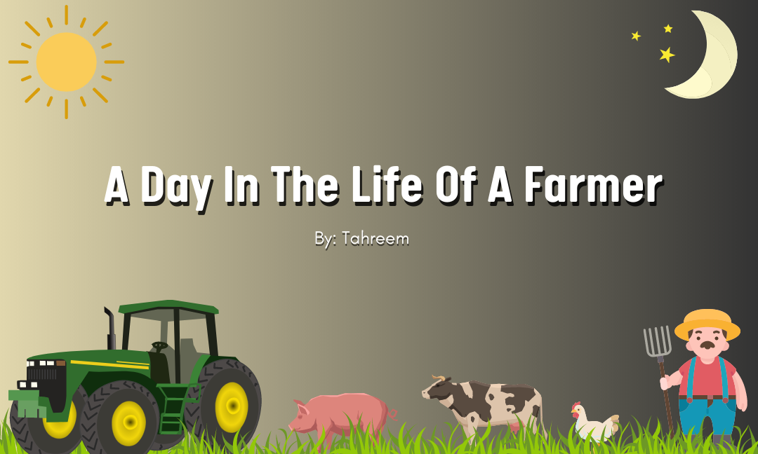 A Day In The Life Of A Farmer