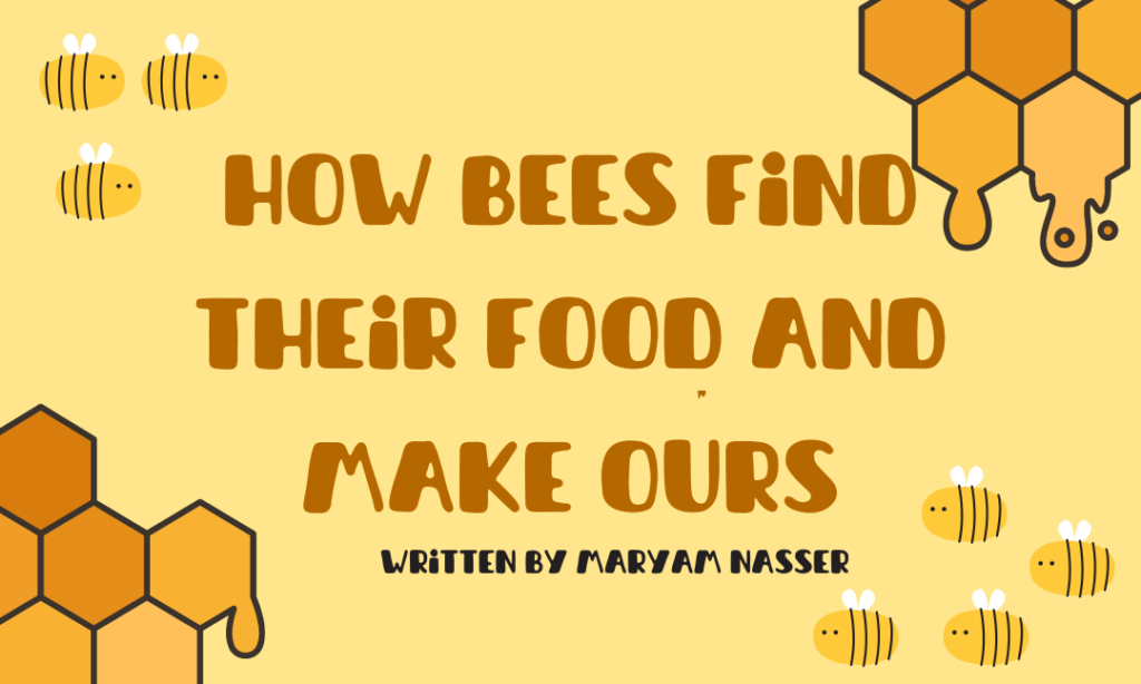 How Bees Find Their Food and Make Ours