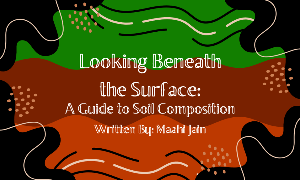 Looking Beneath the Surface: A Guide to Soil Composition