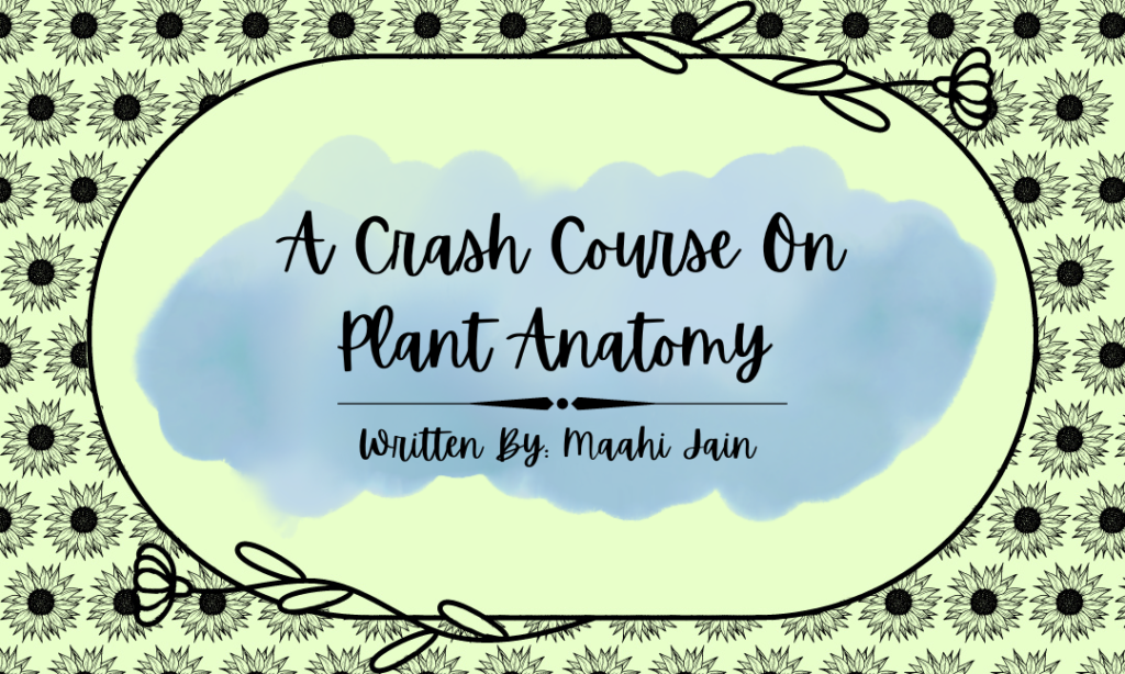 A Crash Course on Plant Anatomy