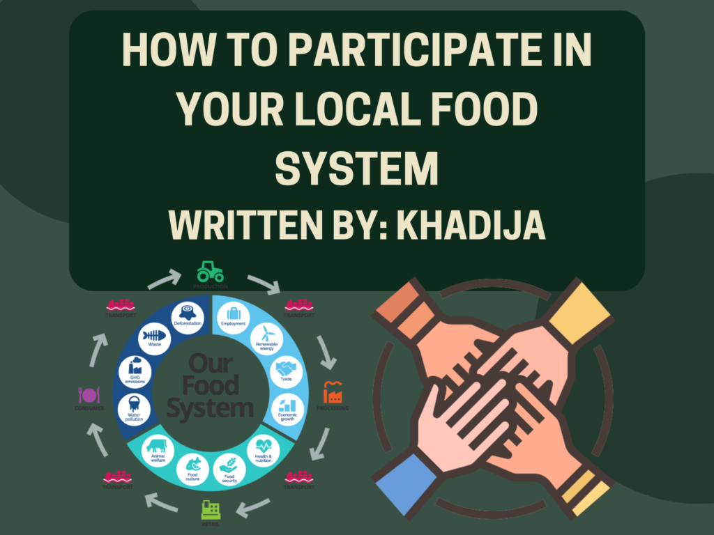 How to Participate in your Local Food System