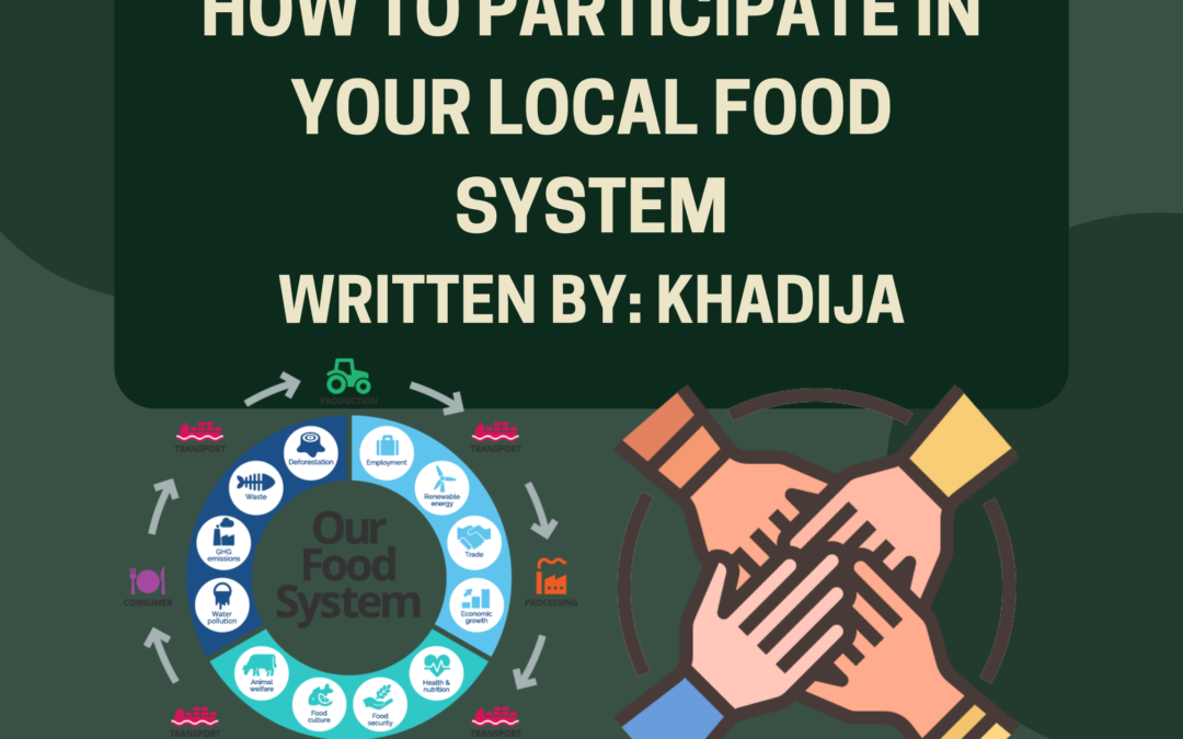 How to Participate in your Local Food System