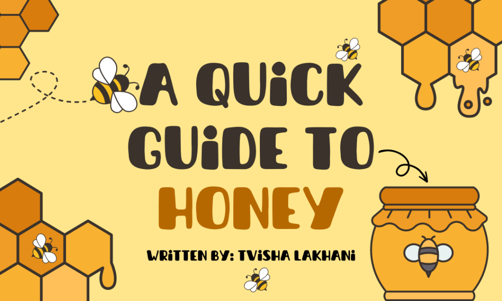 A Quick Guide to Honey