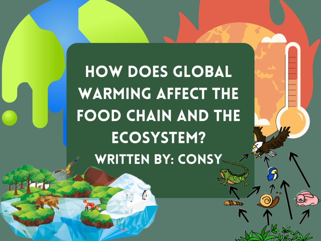How does global warming affect the food chain and the ecosystem?