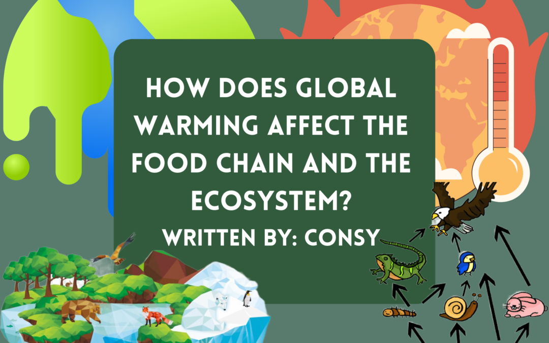 How does global warming affect the food chain and the ecosystem?