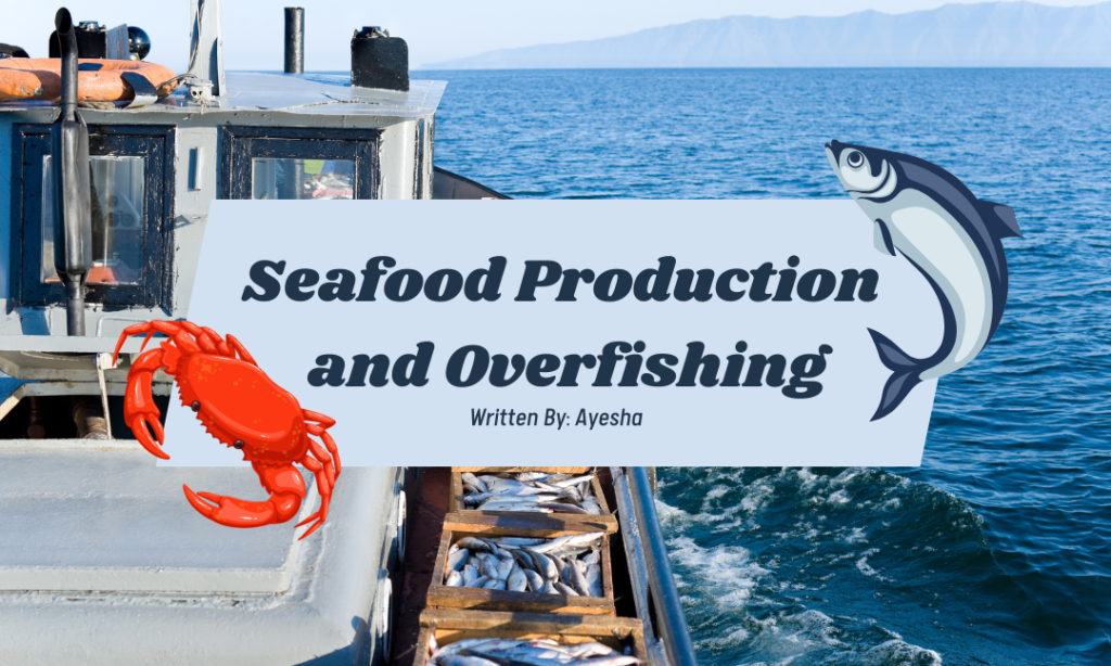 Seafood Production and Overfishing