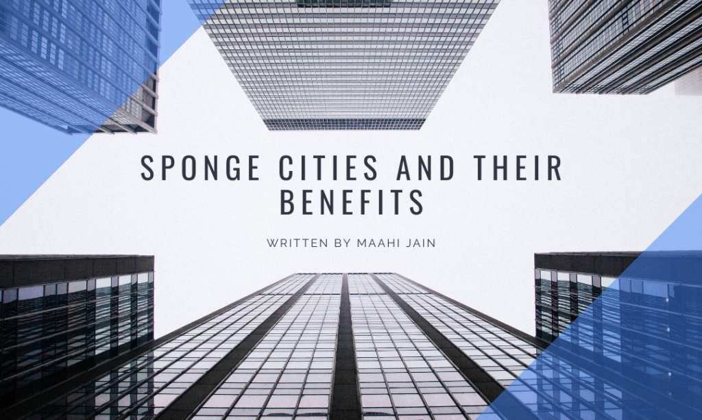 Sponge Cities and Their Benefits