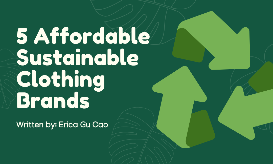 5 Affordable Sustainable Clothing Brands