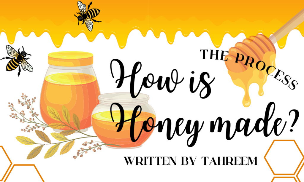 The Process – How Is Honey Made?