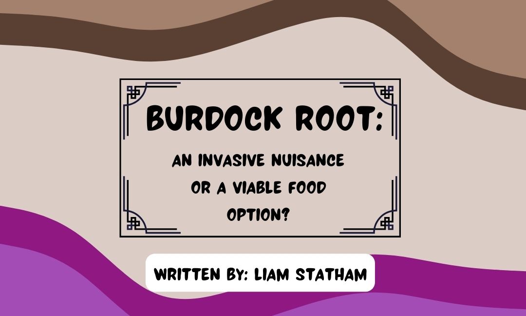 Burdock Root: An Invasive Nuisance or a Viable Food Option?