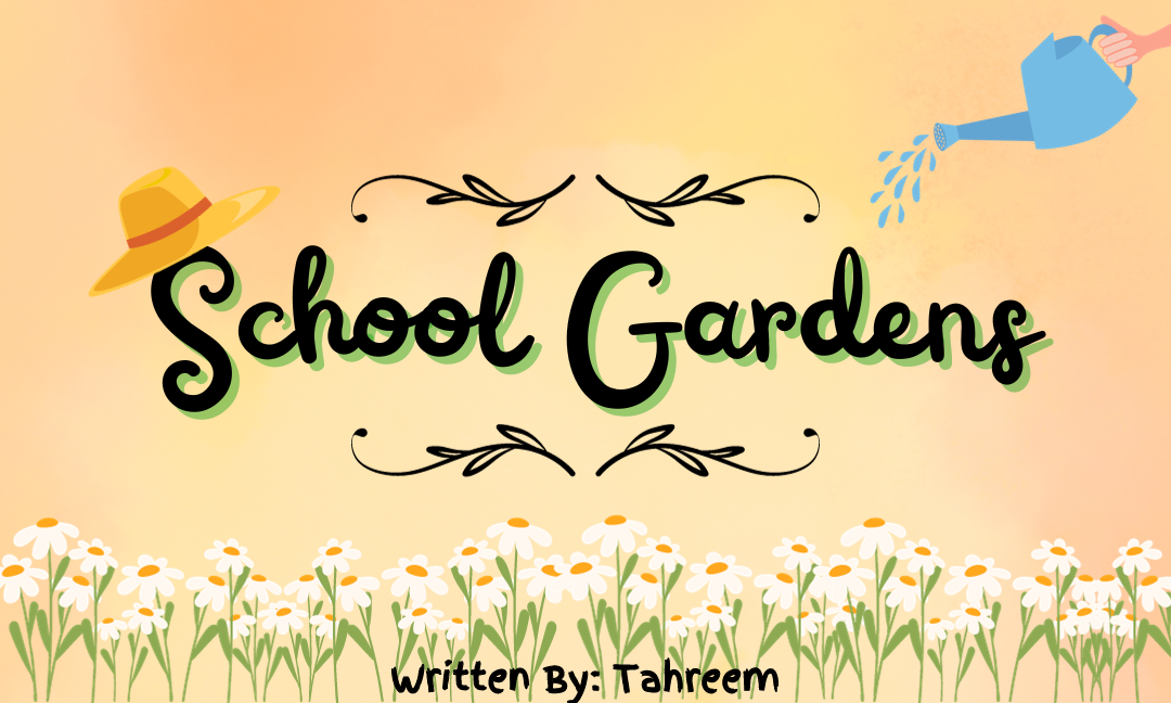 School Gardens – How to Start One