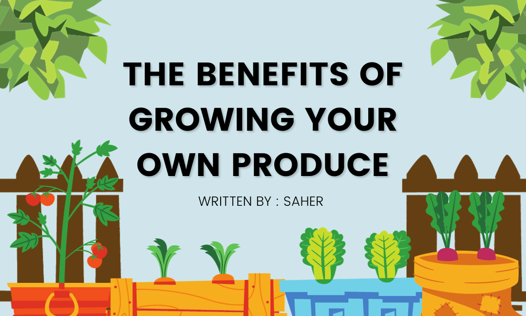 The Benefits of Growing Your Own Produce