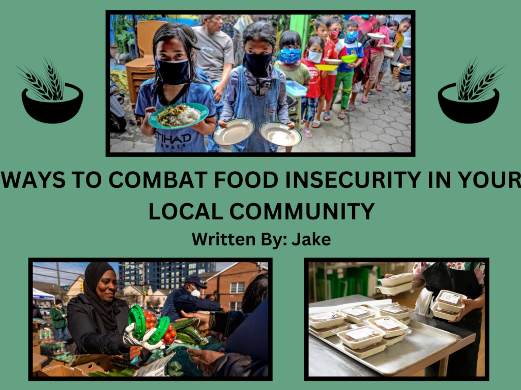Ways to Combat Food Insecurity in your Local Community