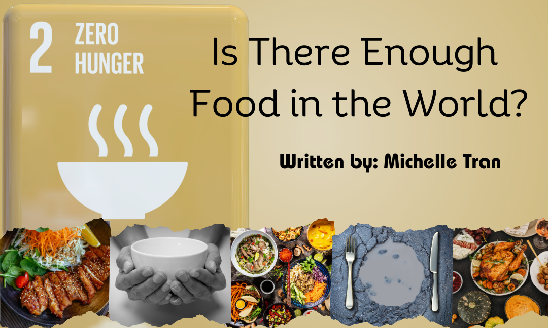 Is There Enough Food in the World?