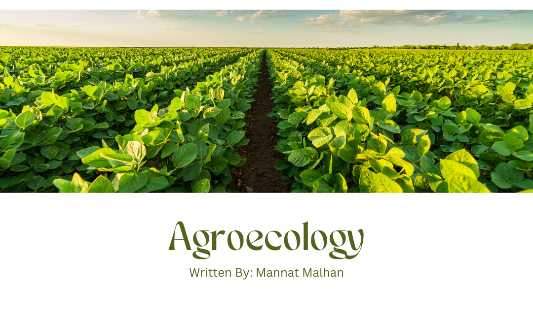 Intro to Agroecology