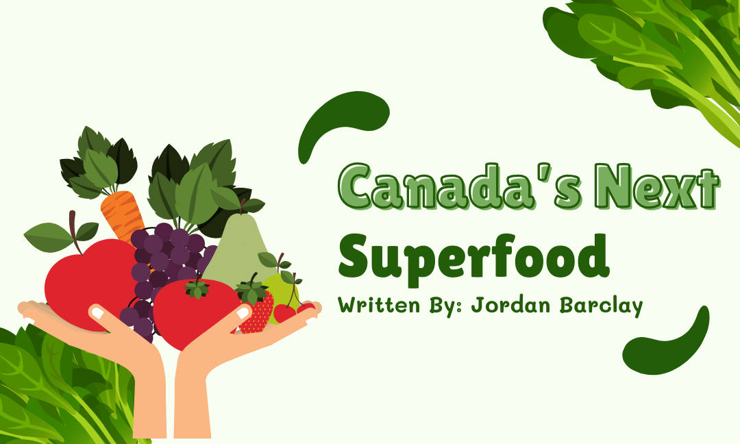 Where Will Canada’s Next Superfood Come From – At Home or Abroad?