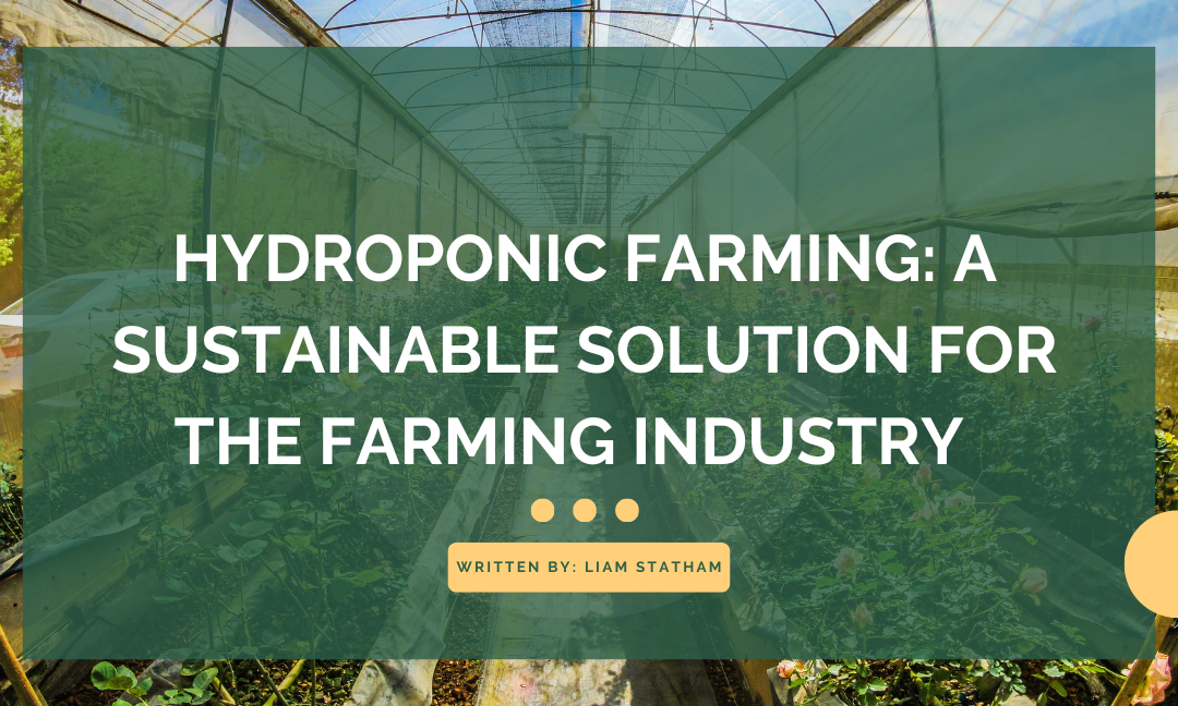 Hydroponic Farming: A Sustainable Solution for the Farming Industry